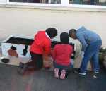 Painting-the-cat-for-media