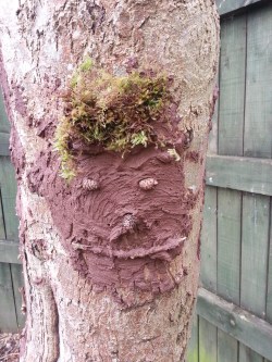 2014-04-06 13.43.20-2