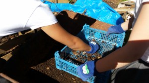 2015-05-13 15.52.01-4