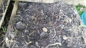 2015-05-13 16.52.34-2