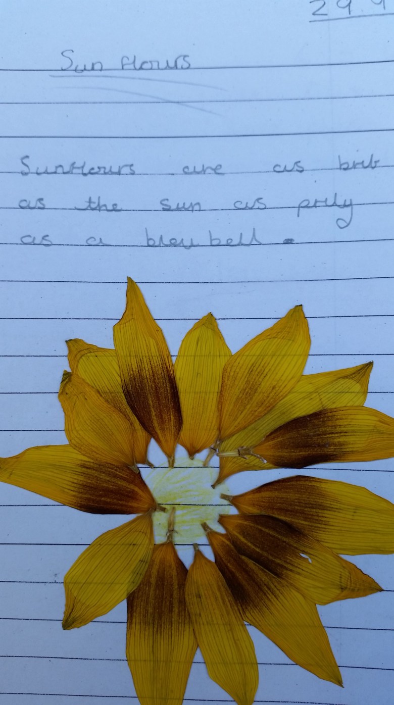 Childrens collage and description of sunflowers