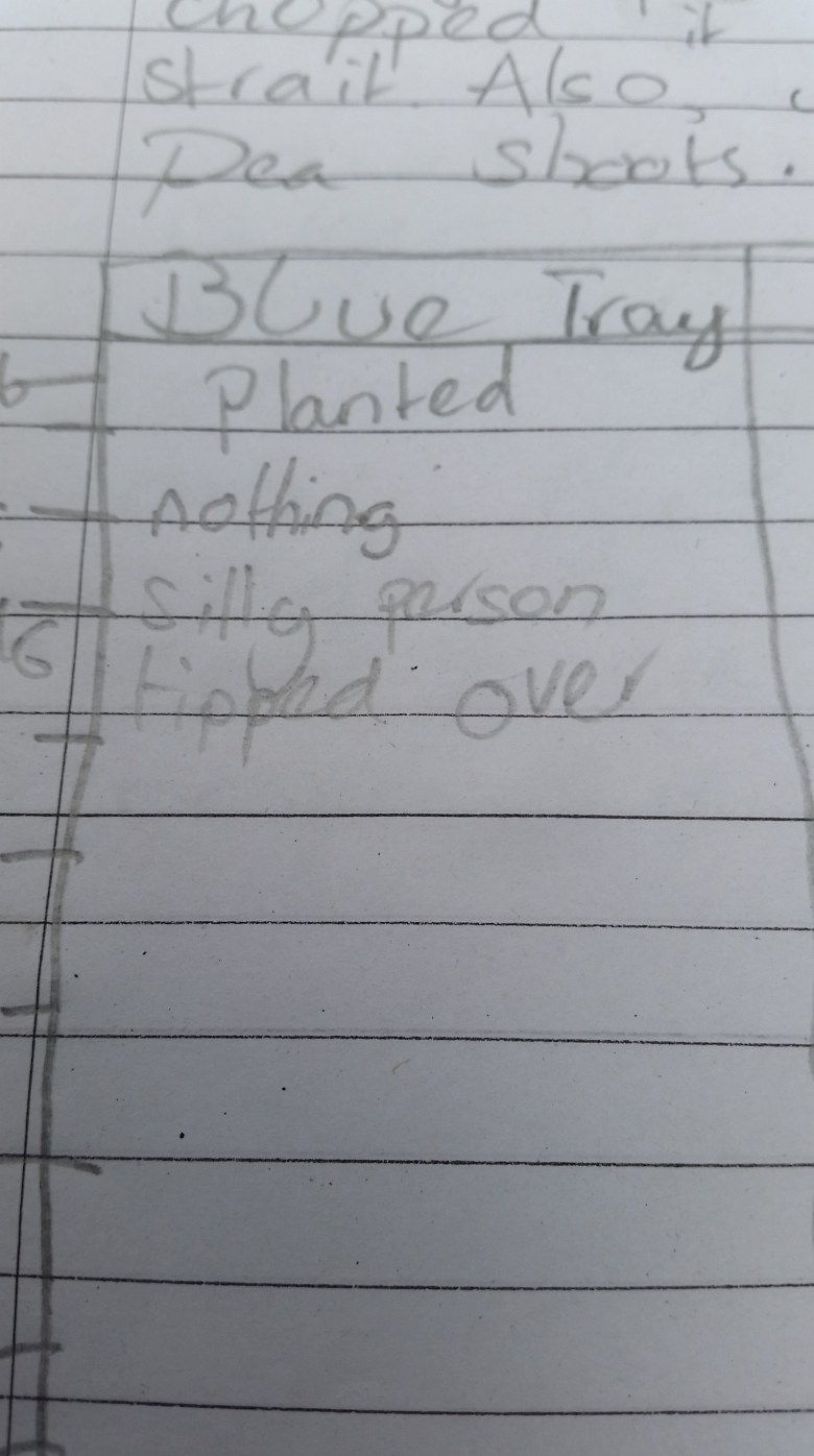 Childrens description of pea lifecycle where peas had been tipped over